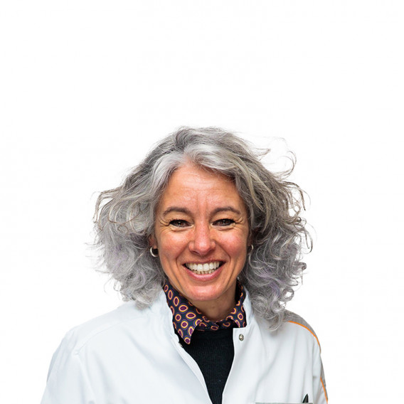 Dr. L. (Lisethe) Meijer